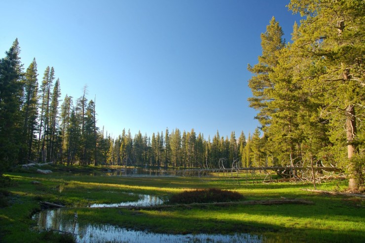 RV Camping in California spring
